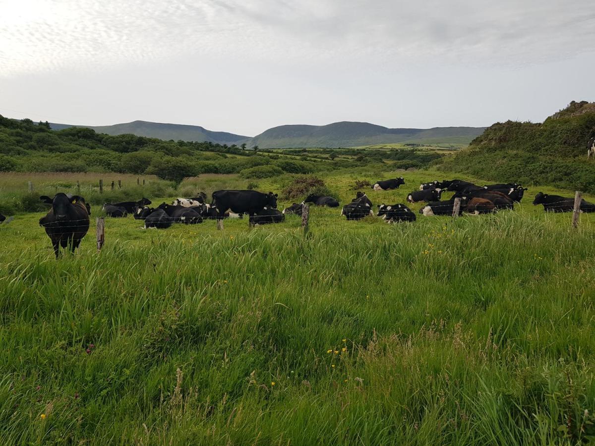 Traditional Irish Farmhouse Annascaul Екстер'єр фото